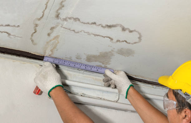 Reliable Water Damage contractor in Alloy, WV by Water Damage Irwin
